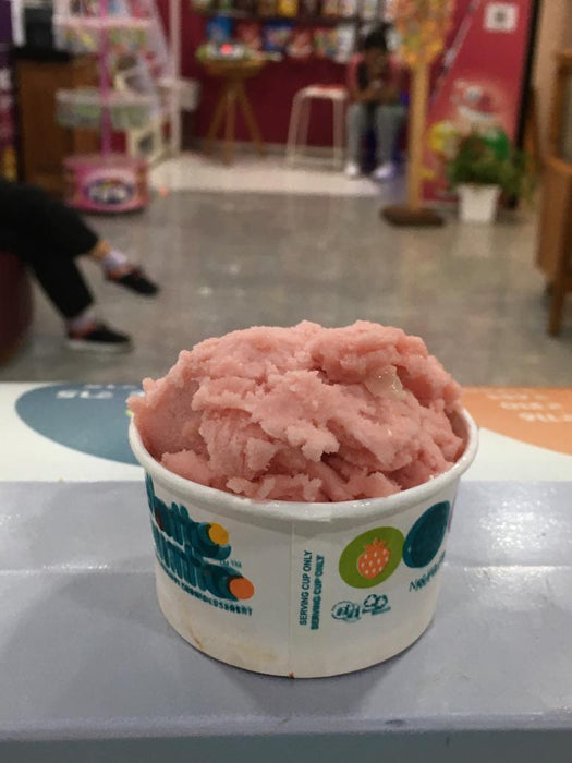 Gelato Vinto Watermelon Sorbet