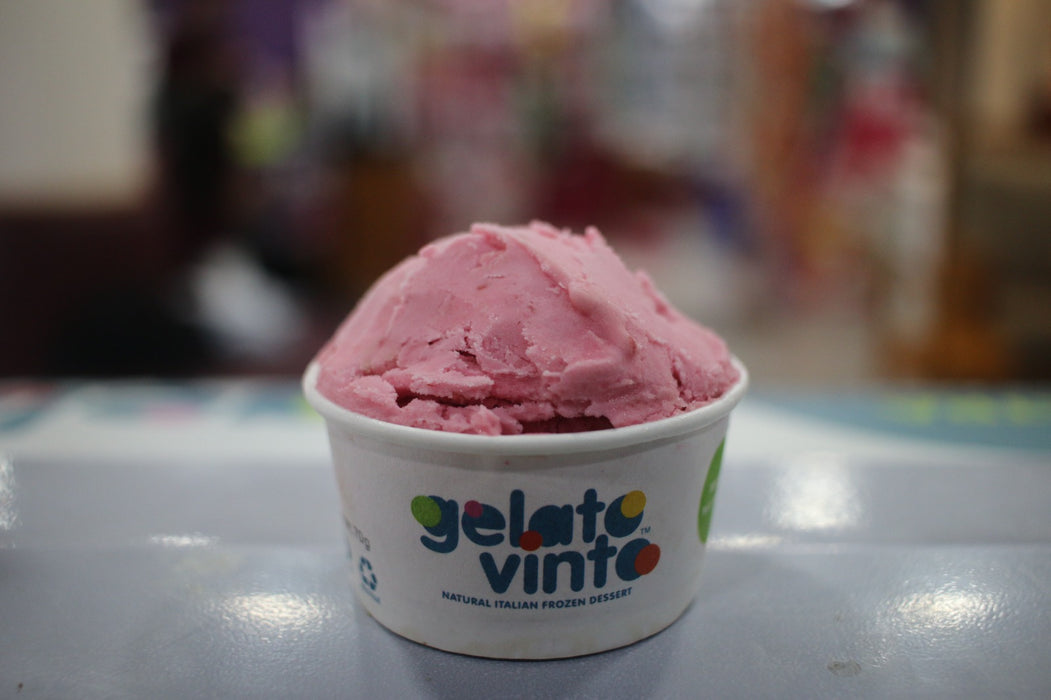 Gelato Vinto Raspberry Sorbet