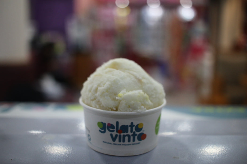 Gelato Vinto Coconut Crunch