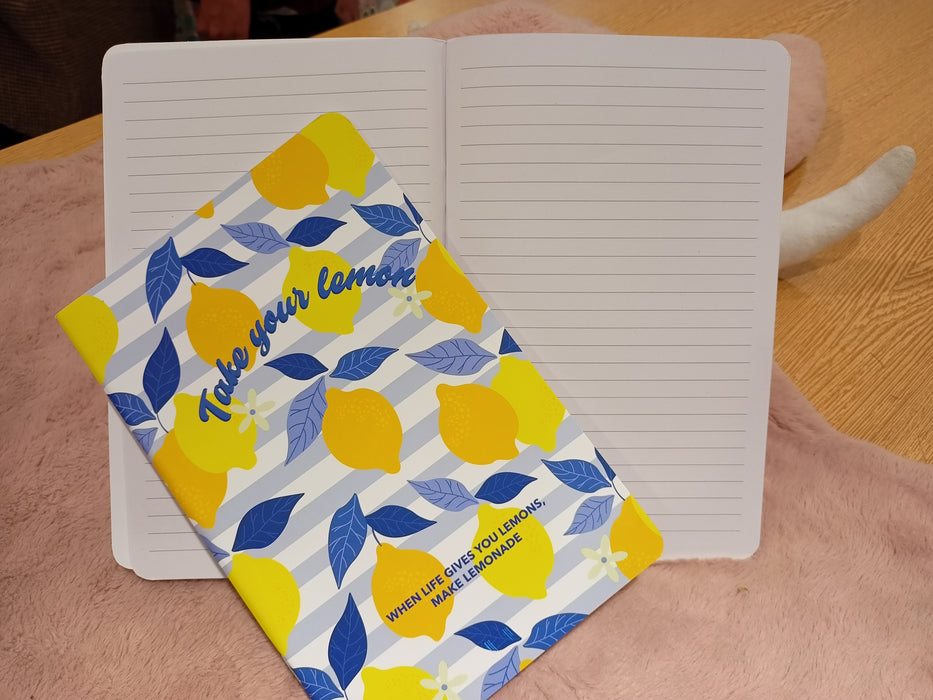 Miniso Lemon A5 Stitch Bound Book Pack of 2 (Blue, White)